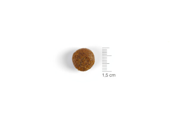Natura Diet PUPPY JUNIOR LARGE BREED - 12Kg - Imagen 2