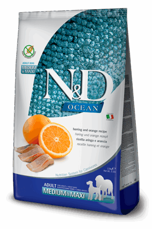 N&D Ocean Arenque & Naranja
