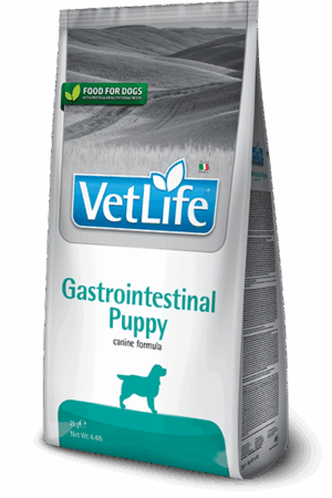 VET LIFE DOG GASTROINTESTINAL PUPPY - 2Kg