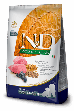 N&D Ancestral Puppy Cordero y Arandanos