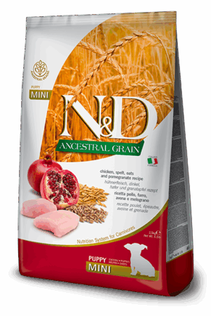 N&D Ancestral Puppy Mini Pollo y Granada