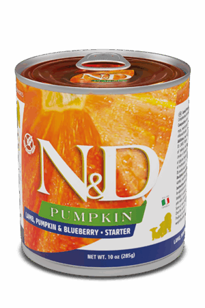 N&D Dog Pumpkin Lamb & Blueberry Starter